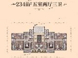 碧桂园珑川府_5室2厅3卫 建面234平米