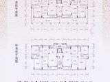 金凤翔棕榈湾_4室2厅2卫 建面172平米