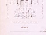 云星钱隆华府_3室2厅2卫 建面110平米