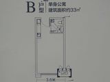 中南中央商务区_1室1厅1卫 建面33平米