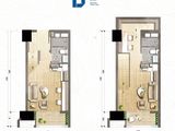 碧桂园潼湖凤鸣湾花园_2室2厅2卫 建面38平米