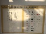 五树六花_4室2厅3卫 建面185平米