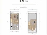 中化润达丰滨江樾城_D1户型 建面34平米