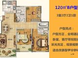 鑫江水青木华四期_3室2厅1卫 建面120平米